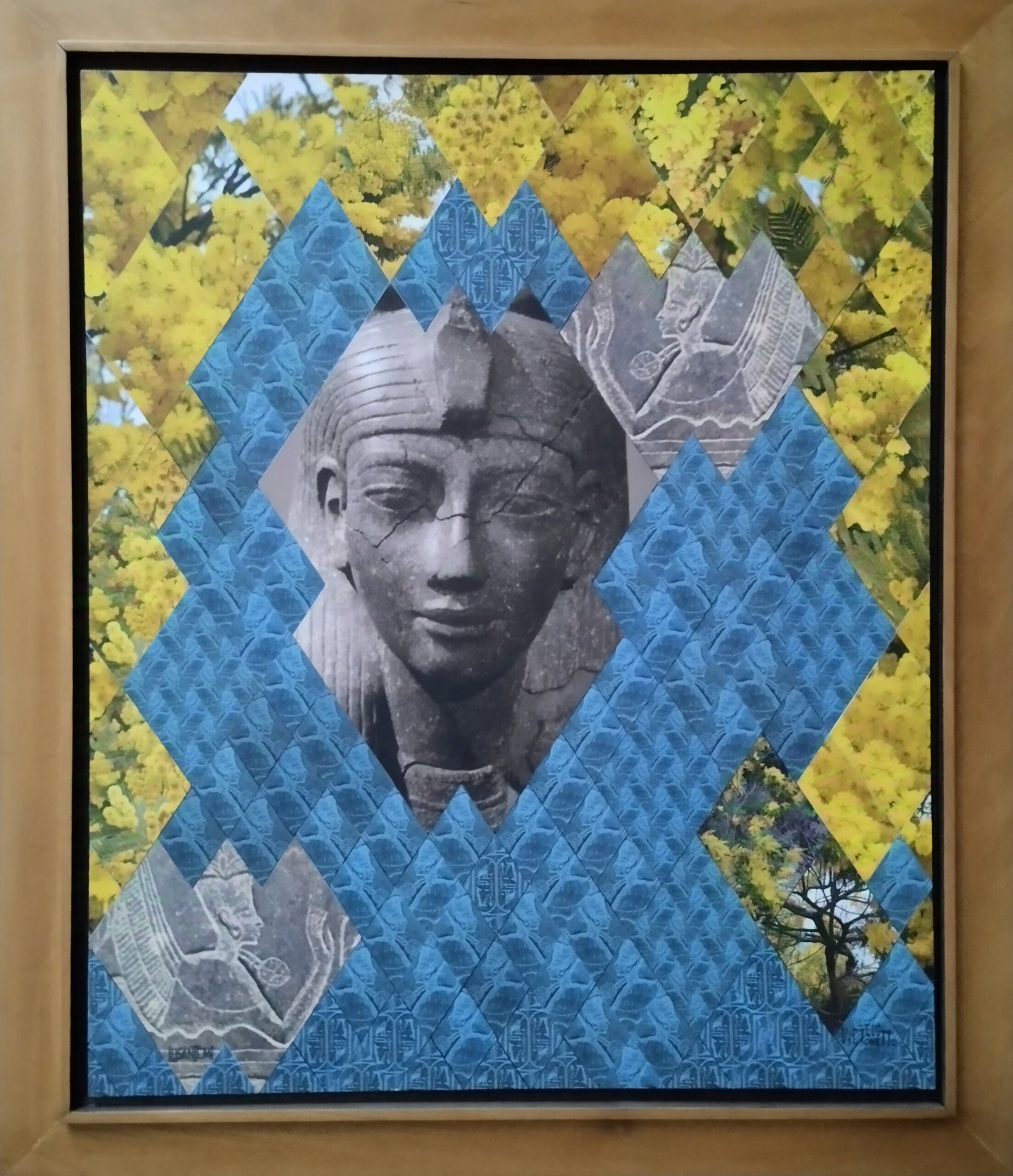 CONSACRAZIONE FRA MIMOSE (1)