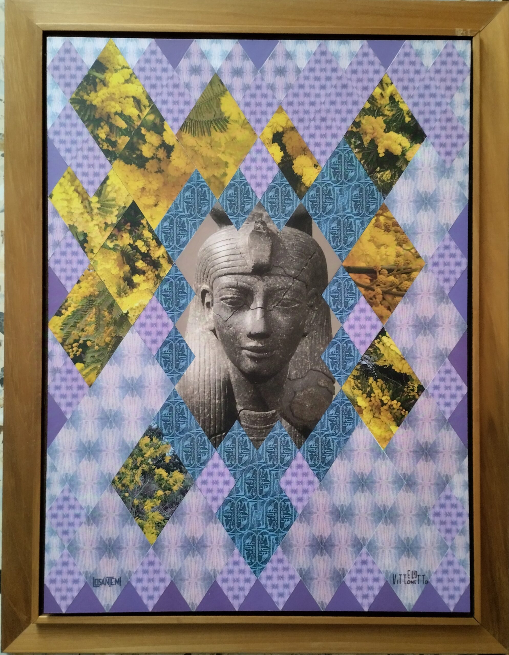 LE MIMOSE FINALMENTE